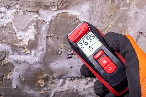 Best Residential Mold Remediation in Bay Minette, AL